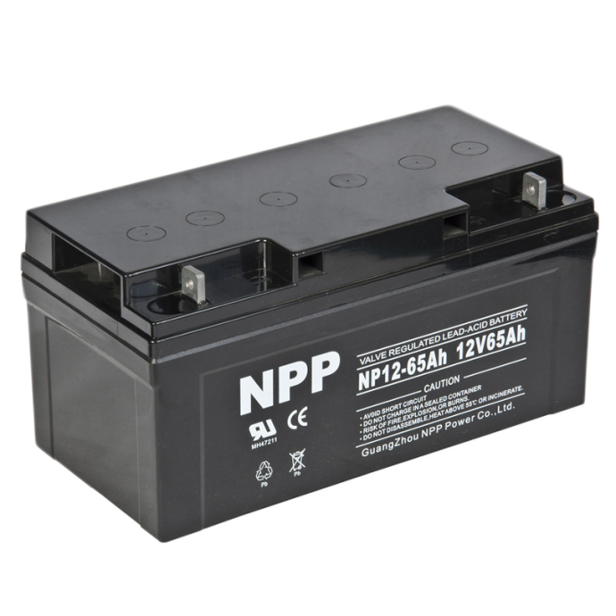 NP 12-65