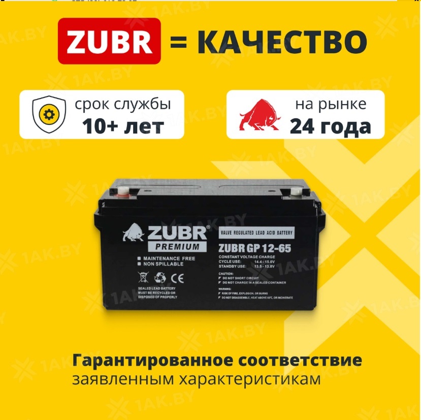 зубр 65 