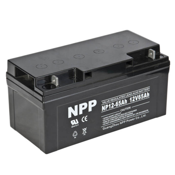 Аккумуляторная батарея NPP NP12-65