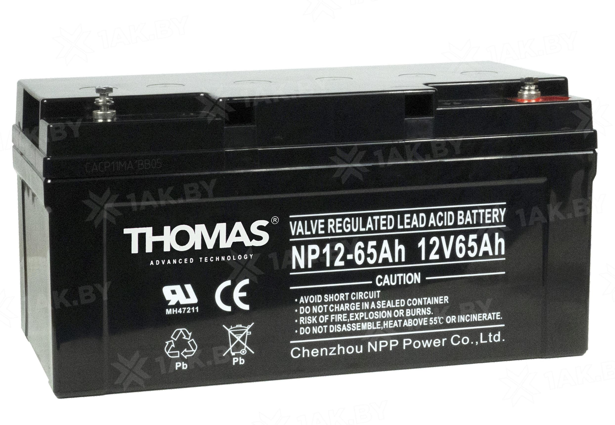 Аккумулятор для ИБП THOMAS (65 Ah) , 12 V GB12-65(Thomas)